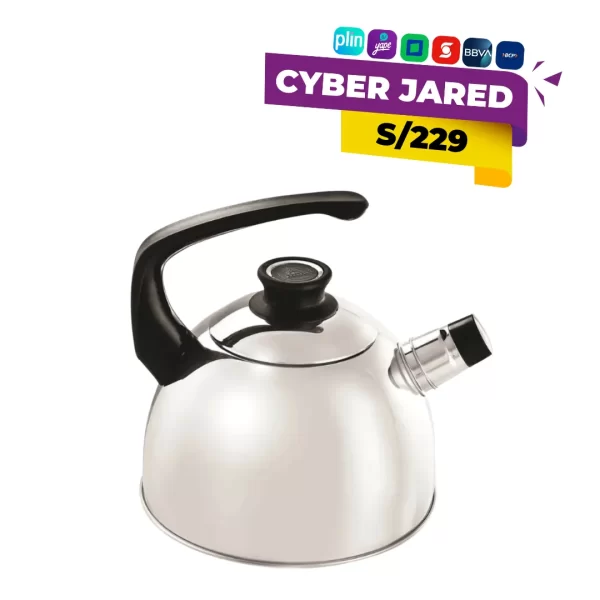 Tetera para estufa Record de 3.2 litros y 22 cm de diámetro, de acero inoxidable plateado, con base difusora, asa ergonómica y silbato de aviso.