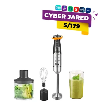 Batidora de inmersión (minipimer) DSP KM1152, con cuerpo plateado de acero inoxidable y mango negro.