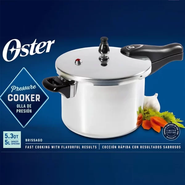 Olla de presión Oster Brissago de 5 litros plateada