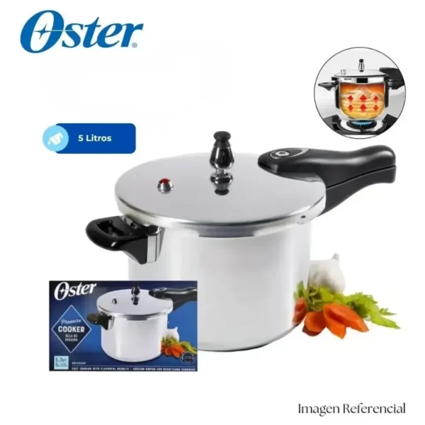 Olla de presión Oster Brissago de 5 litros plateada